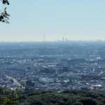 20101011_多峯主山の山頂から東京スカイツリー見えた！