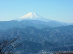 富士山・・・陣馬山頂より