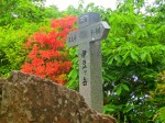 ツツジの咲く伊豆ヶ岳山頂