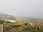 苗場山山頂に広がる湿原・・・生憎の霧です
