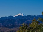 多峯主山より富士山を望む