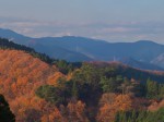 武蔵御嶽神社を越えて・・・紅葉の山肌が残る大塚山を展望