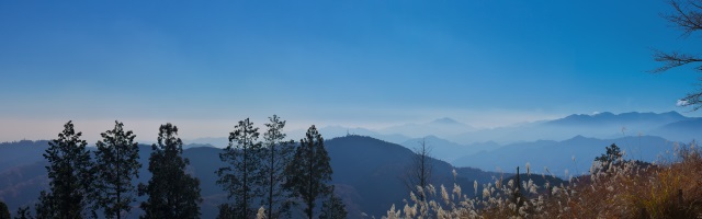景信山へ・・・視界が開けたん丹沢の山々を展望