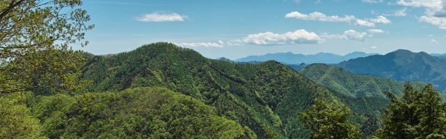 日向沢ノ峰を越えて下って行くと目指す川苔山が大きく迫ってきた