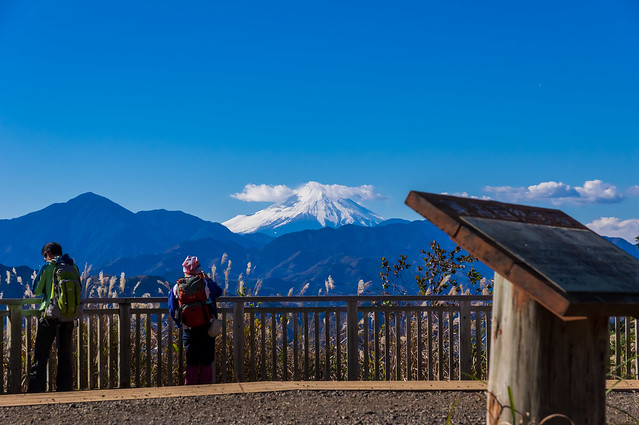 一丁平より仰ぐ富士山