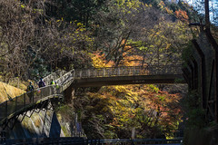 大垂水峠の歩道橋