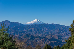 城山から仰ぐ富士山