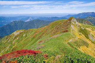 蓬峠へ向けて茂倉岳を下り始める・・・稜線の紅葉が綺麗です