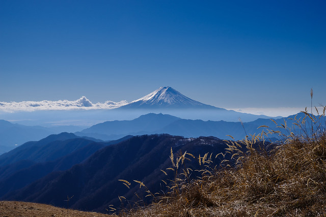 白谷ノ丸付近で仰ぐ富士山