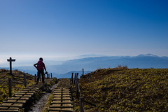 健脚の女性ハイカー（下山時）、、背後は箱根と天城山