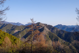 西平山の左奥に伊豆ヶ岳、左奥に武川岳・武甲山