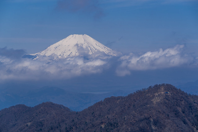 富士と檜洞丸