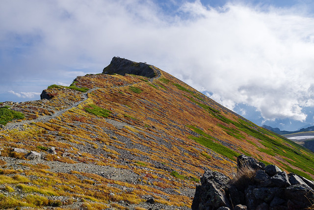 白馬岳山頂への稜線と草紅葉