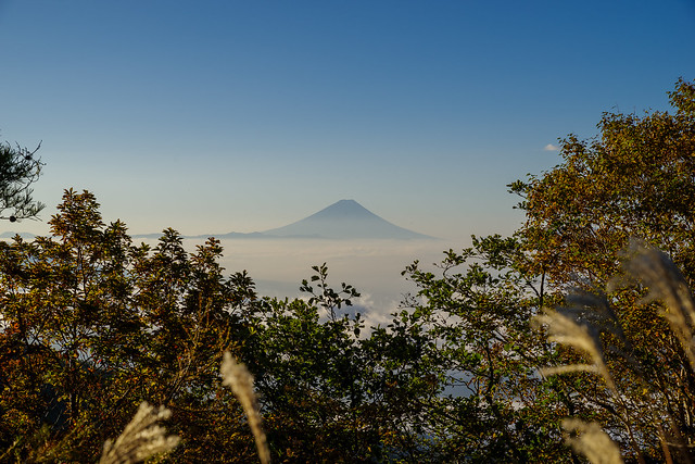 富士山＠雲海展望台