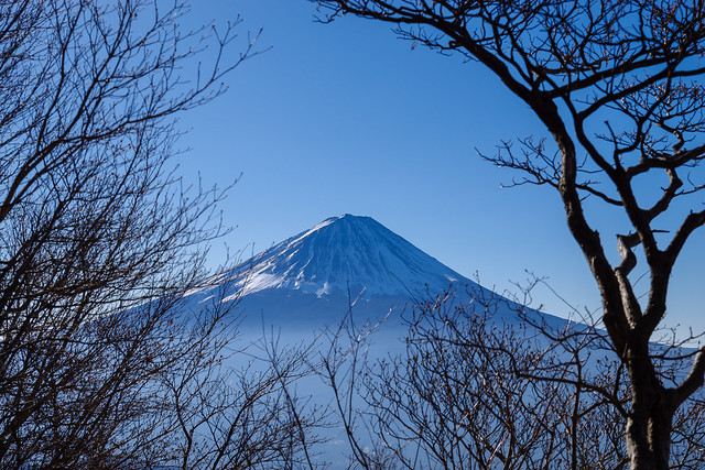 標高1600m手前で富士山お出まし