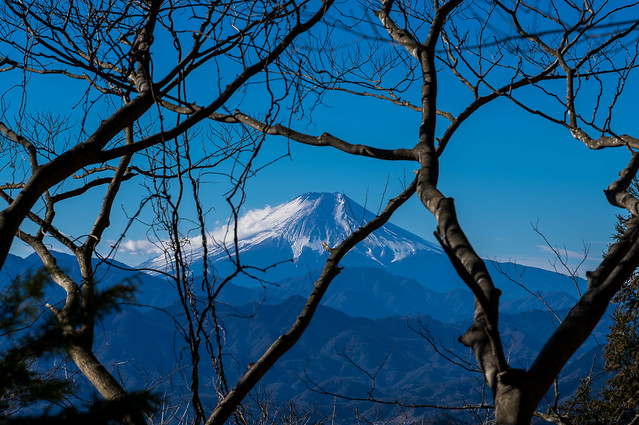 木々間より富士山