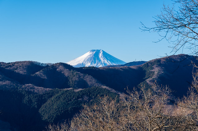 富士山お出まし