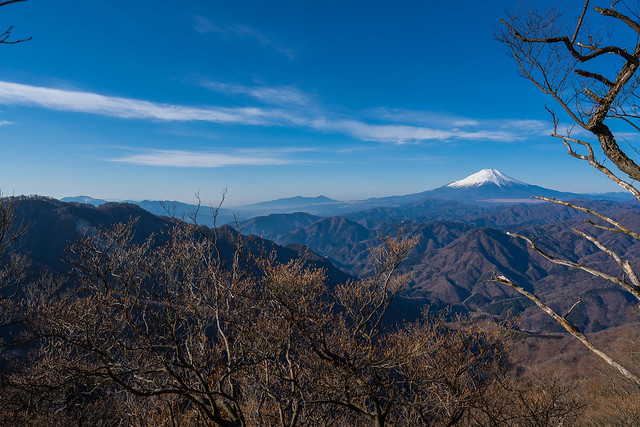 左奥に箱根の山々