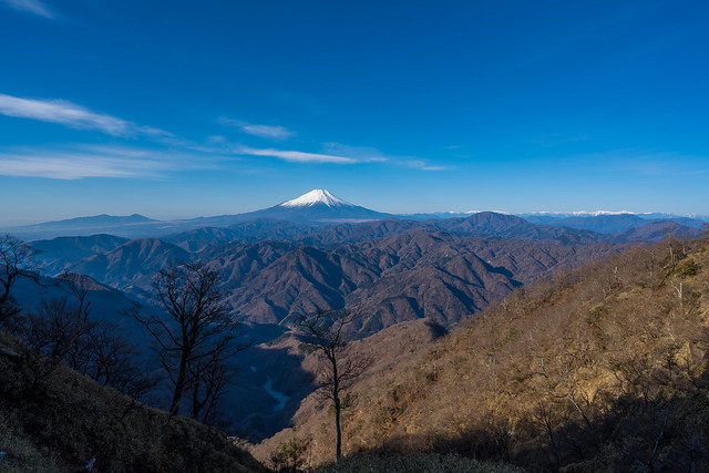 富士山と南アルプス＠熊笹ノ峰手前