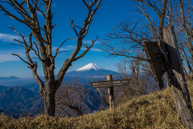 主稜線着・・・富士山のお出迎え