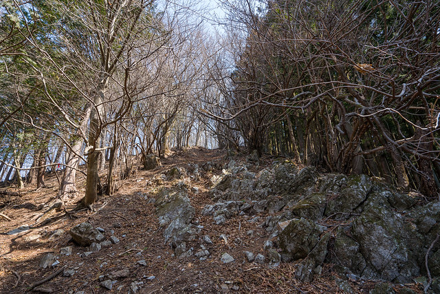 武川岳への急斜面