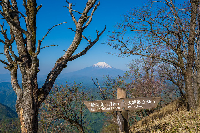 富士山＠ヤタ尾根分岐（主稜線出合）