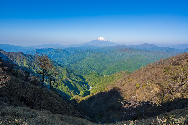富士山と新緑の山々