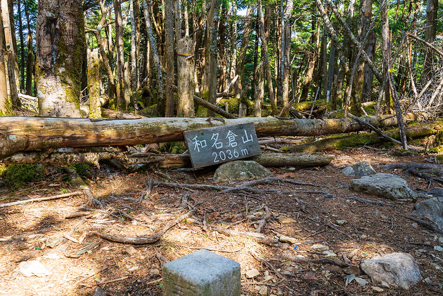 樹林に囲まれた和名倉山