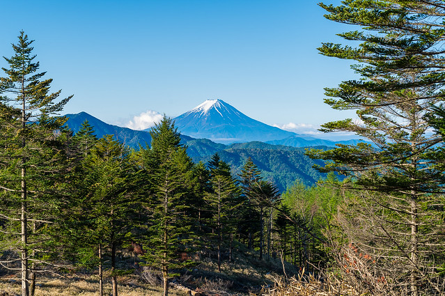 振り返り富士山と大菩薩嶺＠牛王院平手前