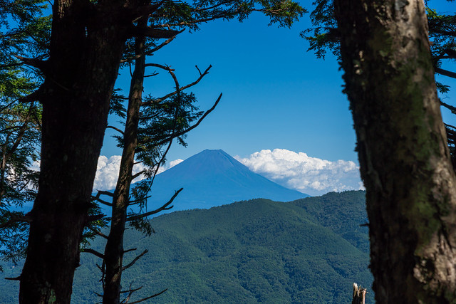 木々間から富士山