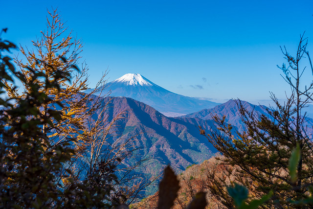 西ヶ原への下りのポイントで、富士山がお出まし