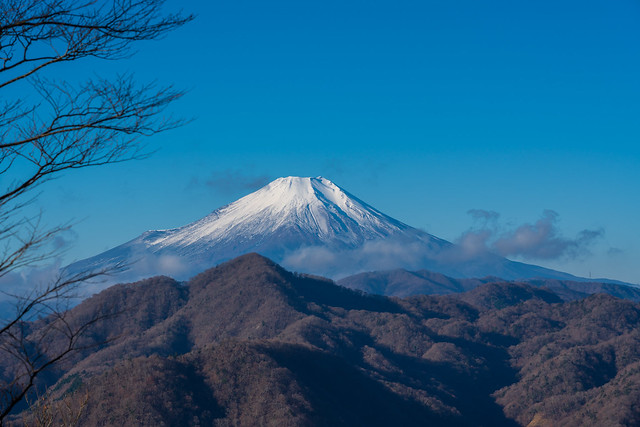 大杉丸まで登ると富士山がお出まし、、手前は畦ヶ丸