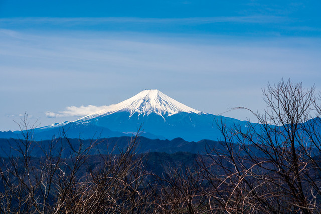御前山直前の富士山展望ポイント