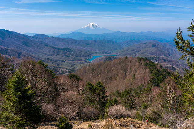 登って来た唐松尾根と富士山