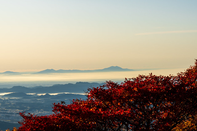 ツツジの紅葉と筑波山