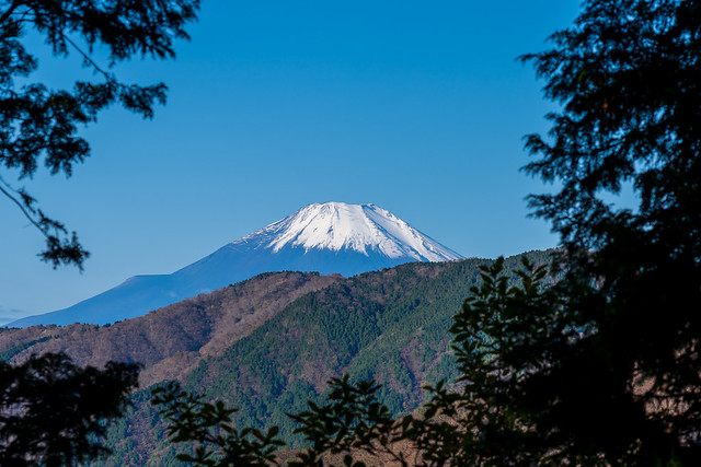 富士山＠堀山の家