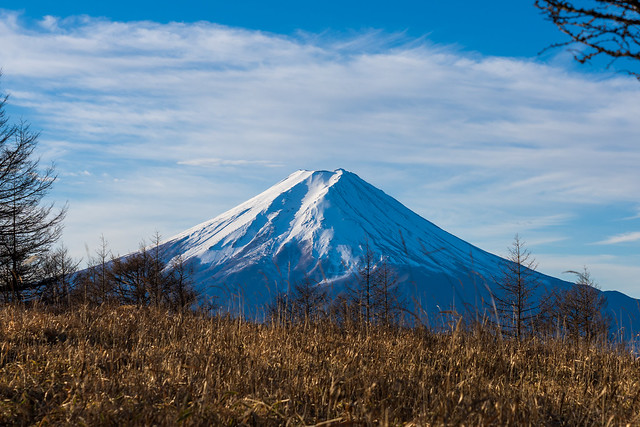 富士山＠木無山