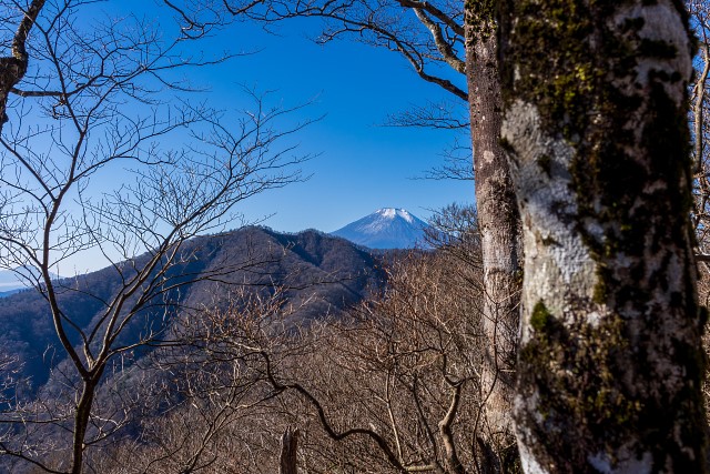 富士山と菰釣山＠中ノ丸