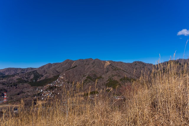 朝歩いた石割山の稜線＠富士岬平