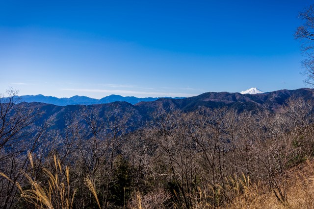 富士山と丹沢＠浅間嶺展望台