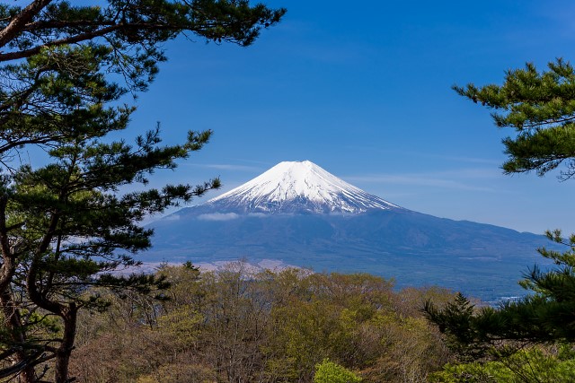 富士山＠倉見山