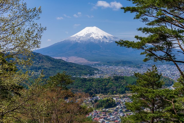 眼下の街並みと富士山
