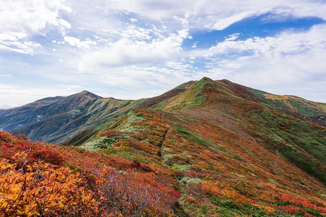 西朝日岳への稜線の紅葉が綺麗