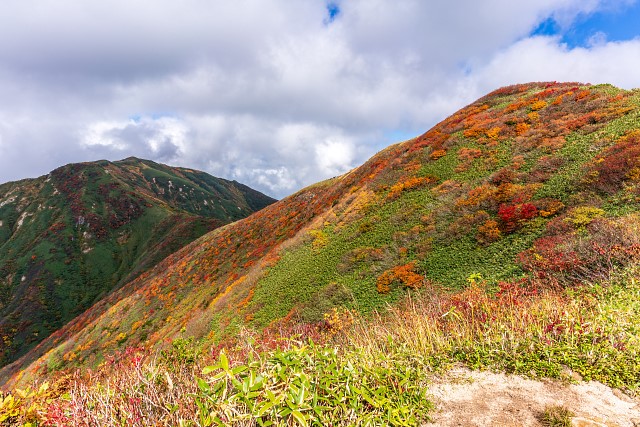 大石山の斜面の紅葉が見頃