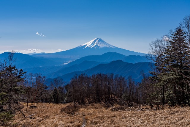 富士山綺麗です＠雁ヶ腹摺山