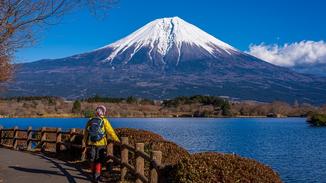 下山後、富士を眺めながら田貫湖畔を歩き駐車場へ