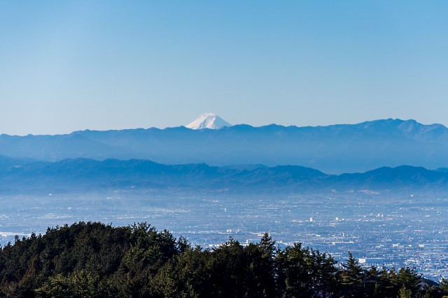 富士山＠岡平の先の植林帯