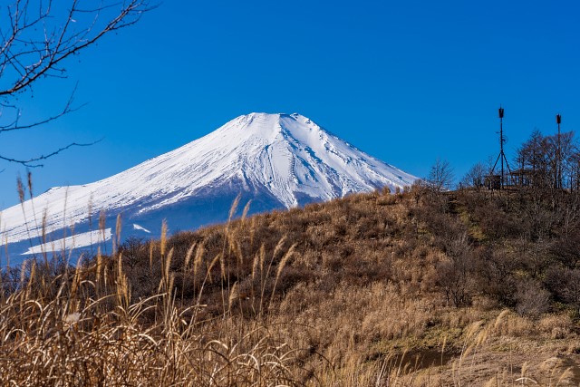富士を仰ぎながら大平山へ