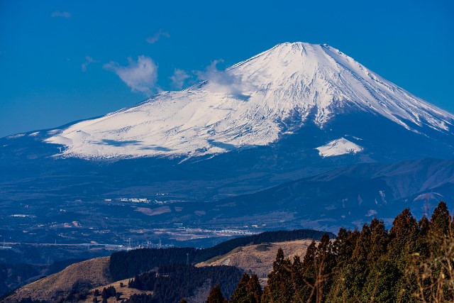 富士山と大野山＠高松山