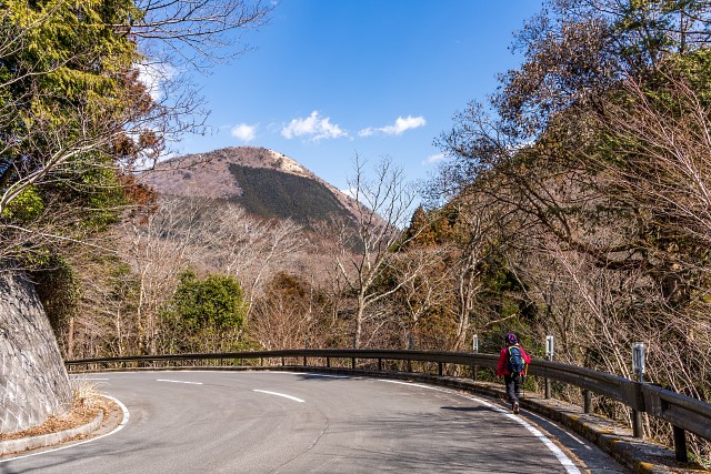 矢倉岳を眺めながら車道歩き